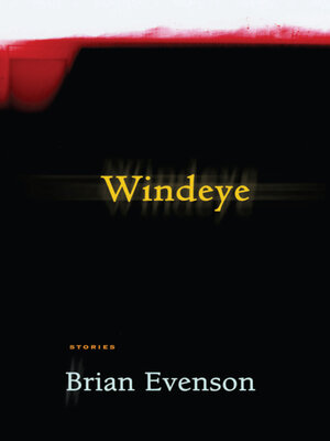 cover image of Windeye
